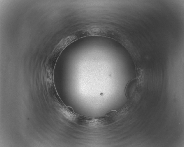 X0000078020430200610271239