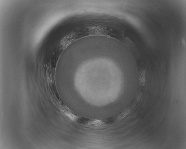 X0000078020431200610271239