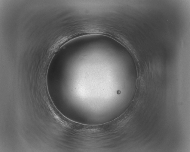 X0000078020433200610271238