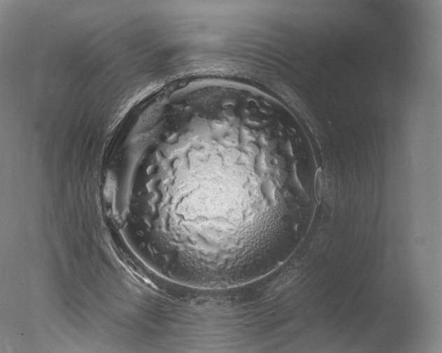 X0000078020434200610271238