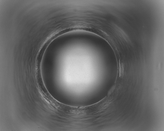 X0000078020435200610271238