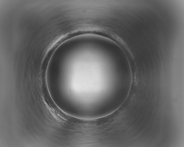 X0000078020436200610271238