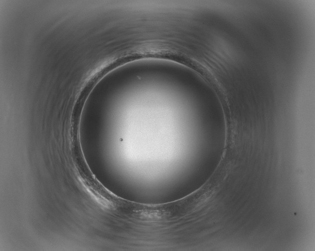 X0000078020439200610271238