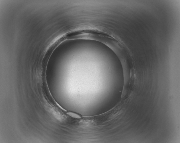 X0000078020440200610271238