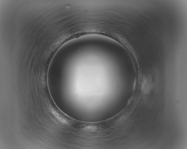 X0000078020441200610271238