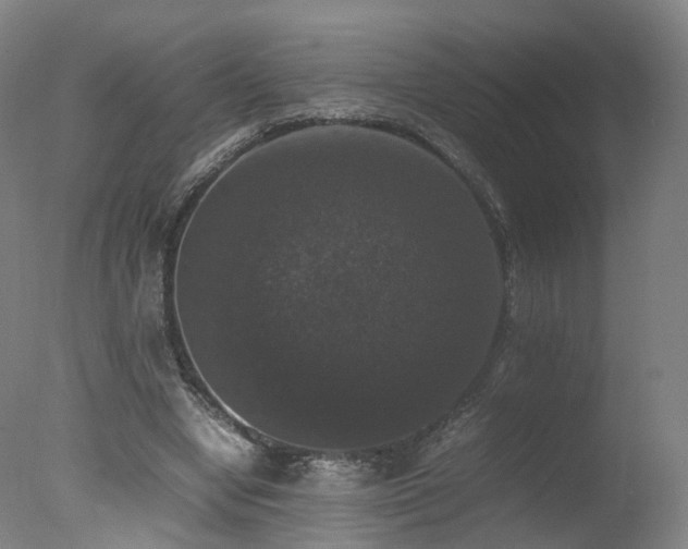 X0000078020442200610271238