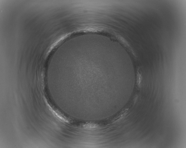 X0000078020444200610271238