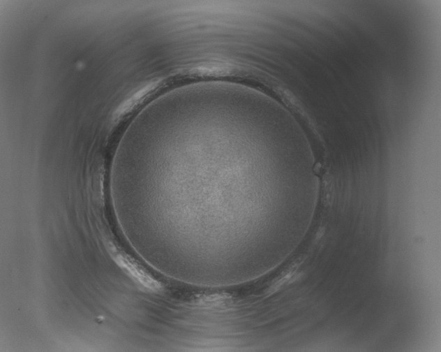 X0000078020446200610271238