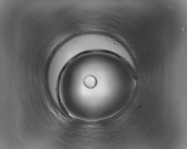 X0000078020447200610271238