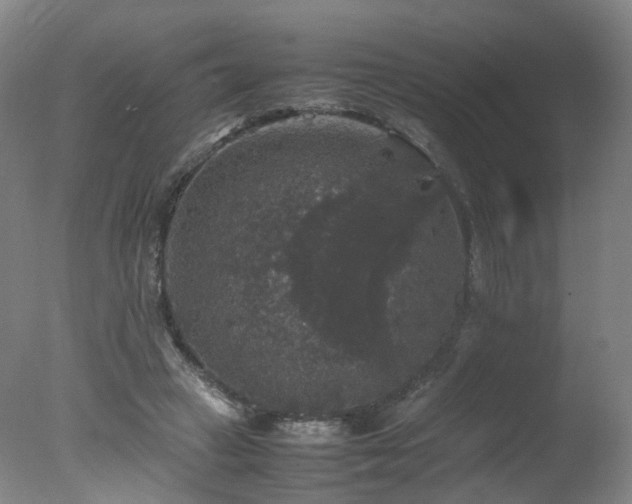 X0000078020449200610271238