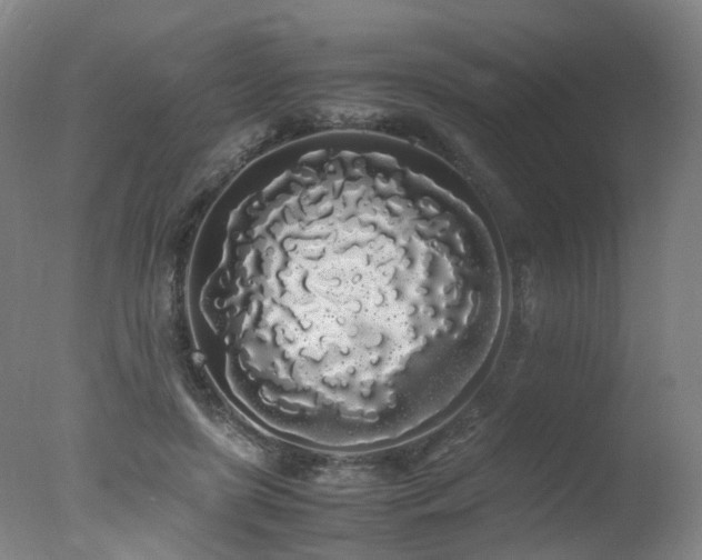 X0000078020451200610271238