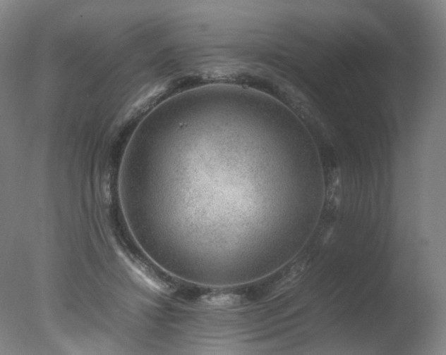 X0000078020452200610271238