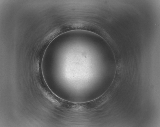 X0000078020454200610271238