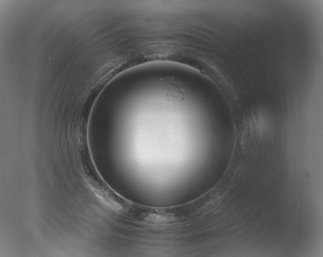 X0000078020455200610271238