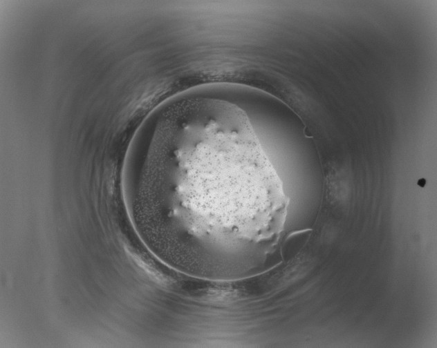 X0000078020458200610271238