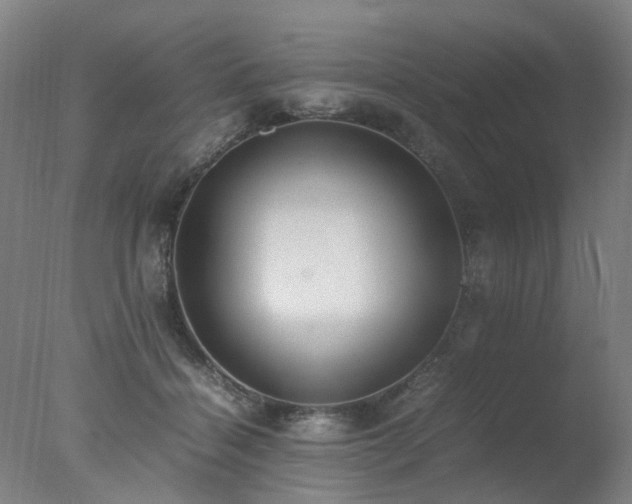 X0000078020460200610271238