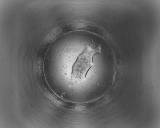 X0000078020462200610271238