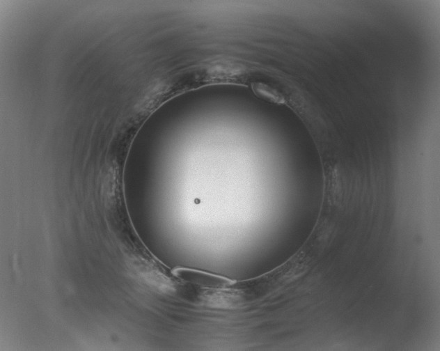 X0000078020463200610271238