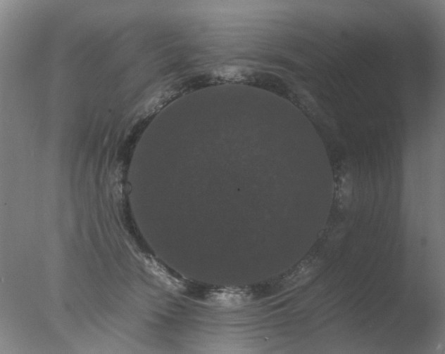 X0000078020466200610271238