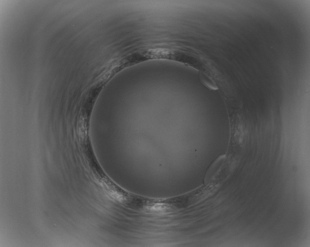 X0000078020467200610271238