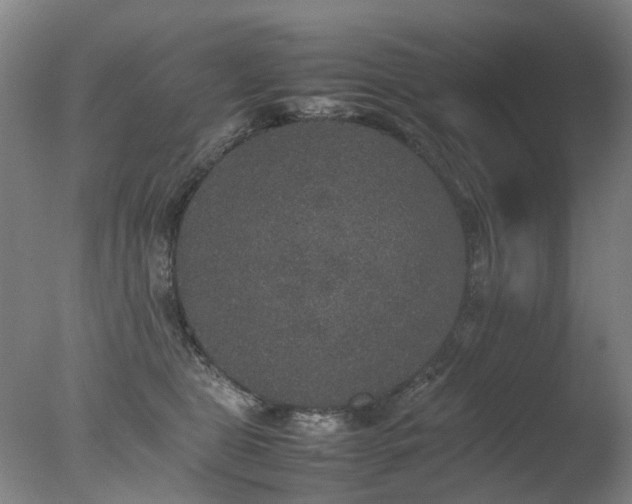 X0000078020469200610271238