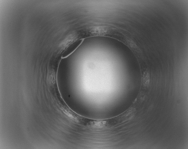 X0000078020474200610271238