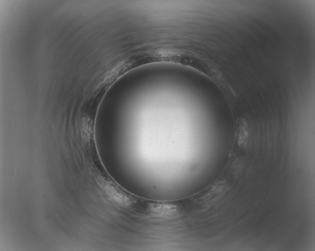 X0000078020476200610271238