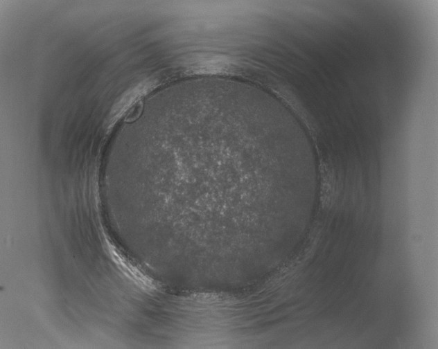 X0000078020482200610271238