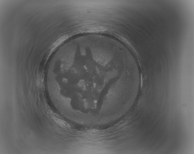 X0000078020483200610271238