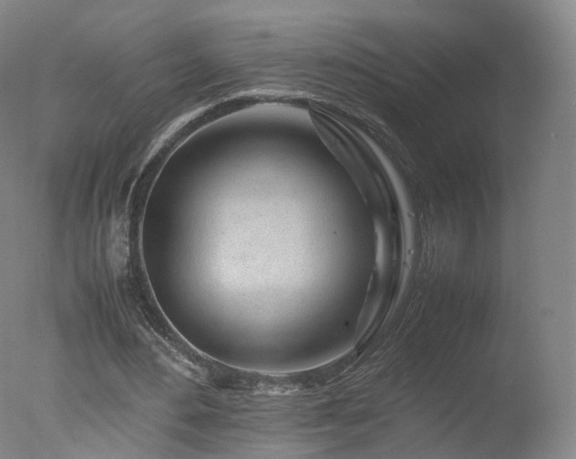 X0000078020484200610271238