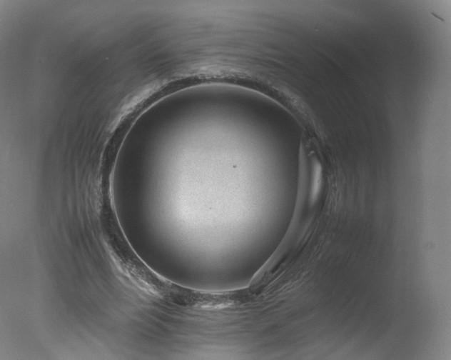 X0000078020488200610271238