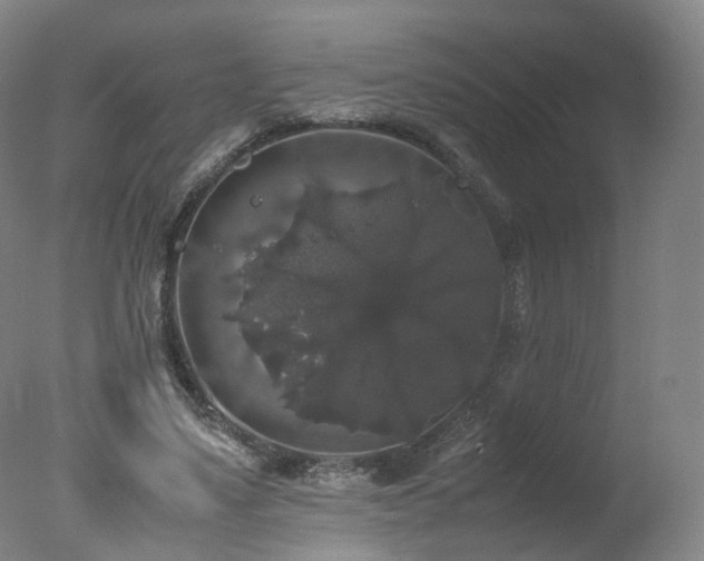 X0000078020491200610271238