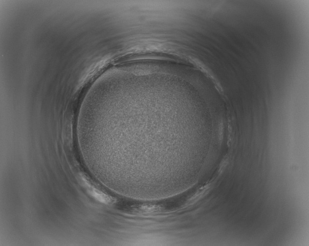 X0000078020493200610271237