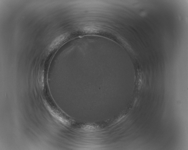 X0000078020494200610271237