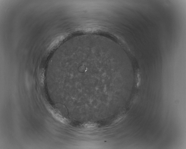 X0000078020495200610271237