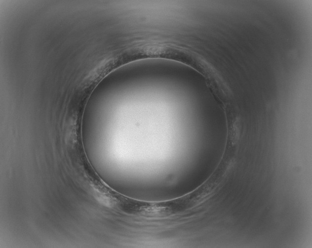 X0000078020497200610271237