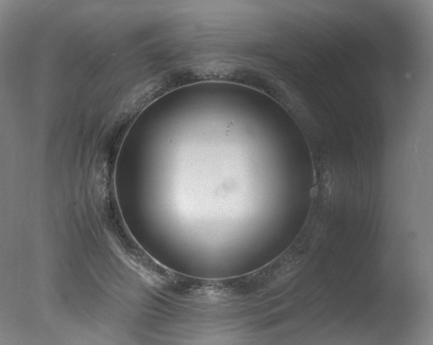 X0000078020498200610271237