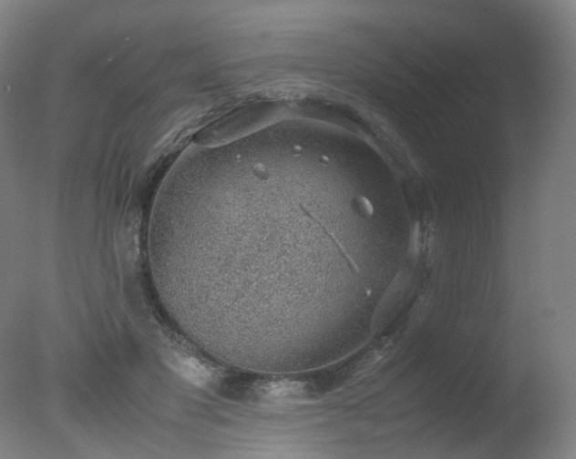 X0000078020501200610271237