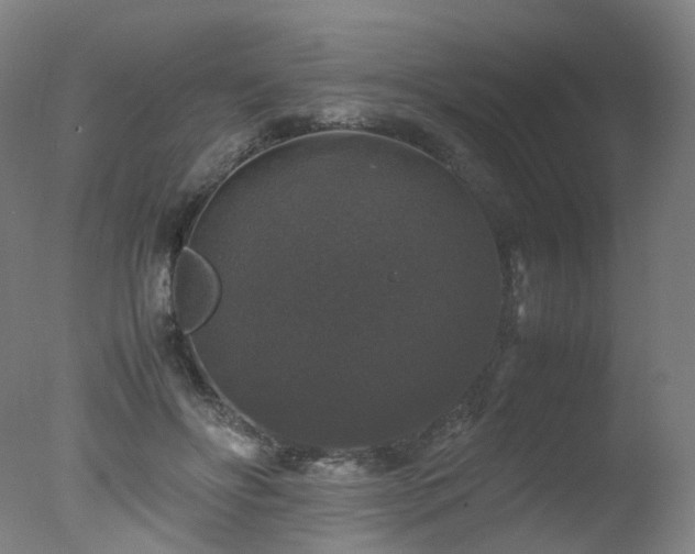 X0000078020502200610271237