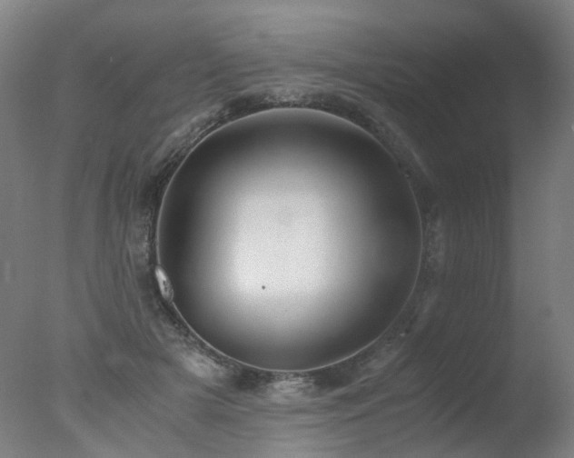 X0000078020505200610271237