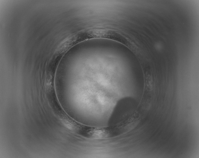 X0000078020507200610271237