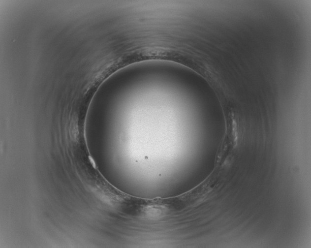 X0000078020508200610271237