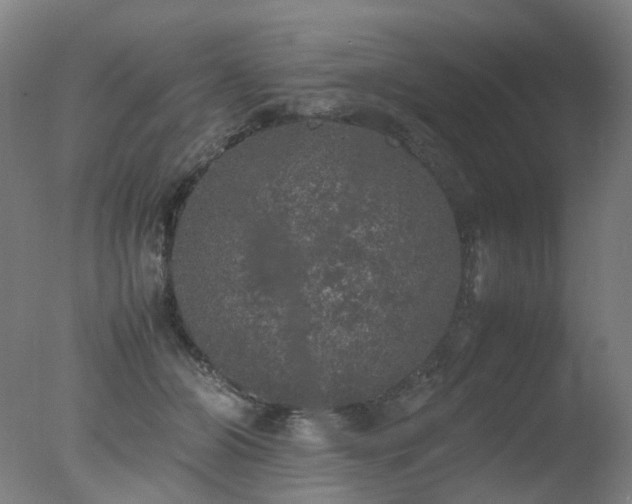 X0000078020510200610271237