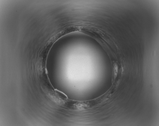 X0000078020512200610271237