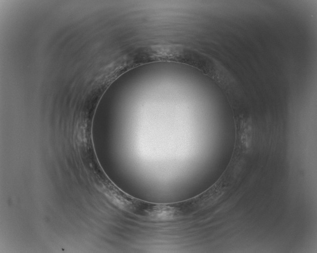 X0000078020514200610271237