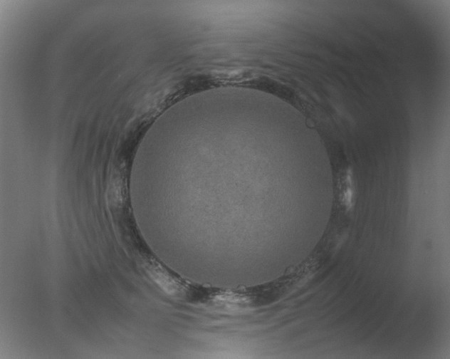 X0000078020515200610271237