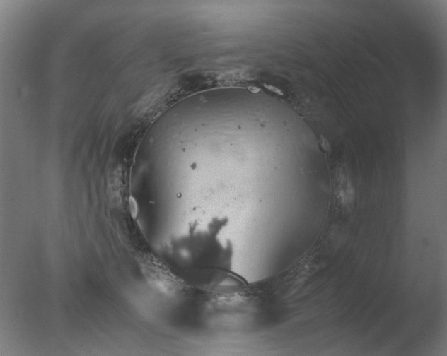 X0000078020519200610271237