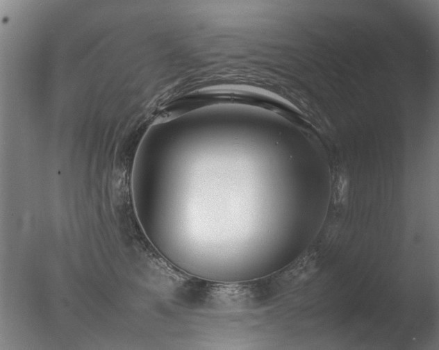 X0000078020521200610271237