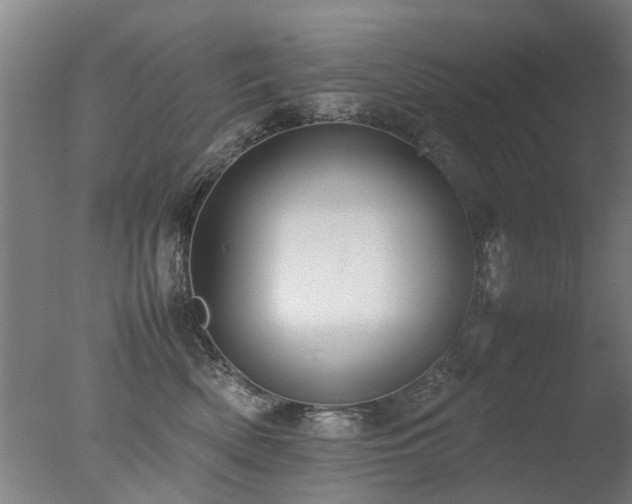 X0000078020522200610271237