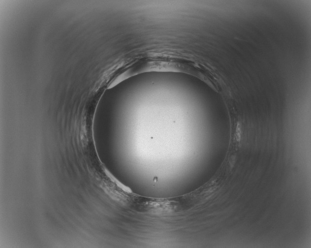 X0000078020524200610271237